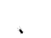 xihkok