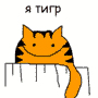 wsad